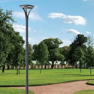 Luminaria LED profesional para paisajes instalada a lo largo de un sendero peatonal del parque, que cuenta con un poste negro duradero y una luminaria montada en la parte superior de alta eficiencia.